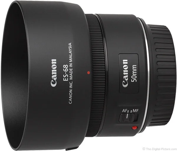 Canon EF 50mm f/1.8 STM Lens Review