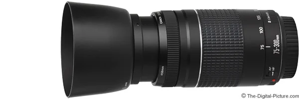 Canon EF 75-300mm f/4-5.6 III Lens Review