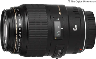 Canon EF 100mm f/2.8 USM Macro Lens Review