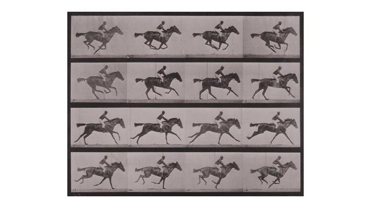 動画の原点『アニマル・ロコモーション』「連続写真に取り憑かれた男