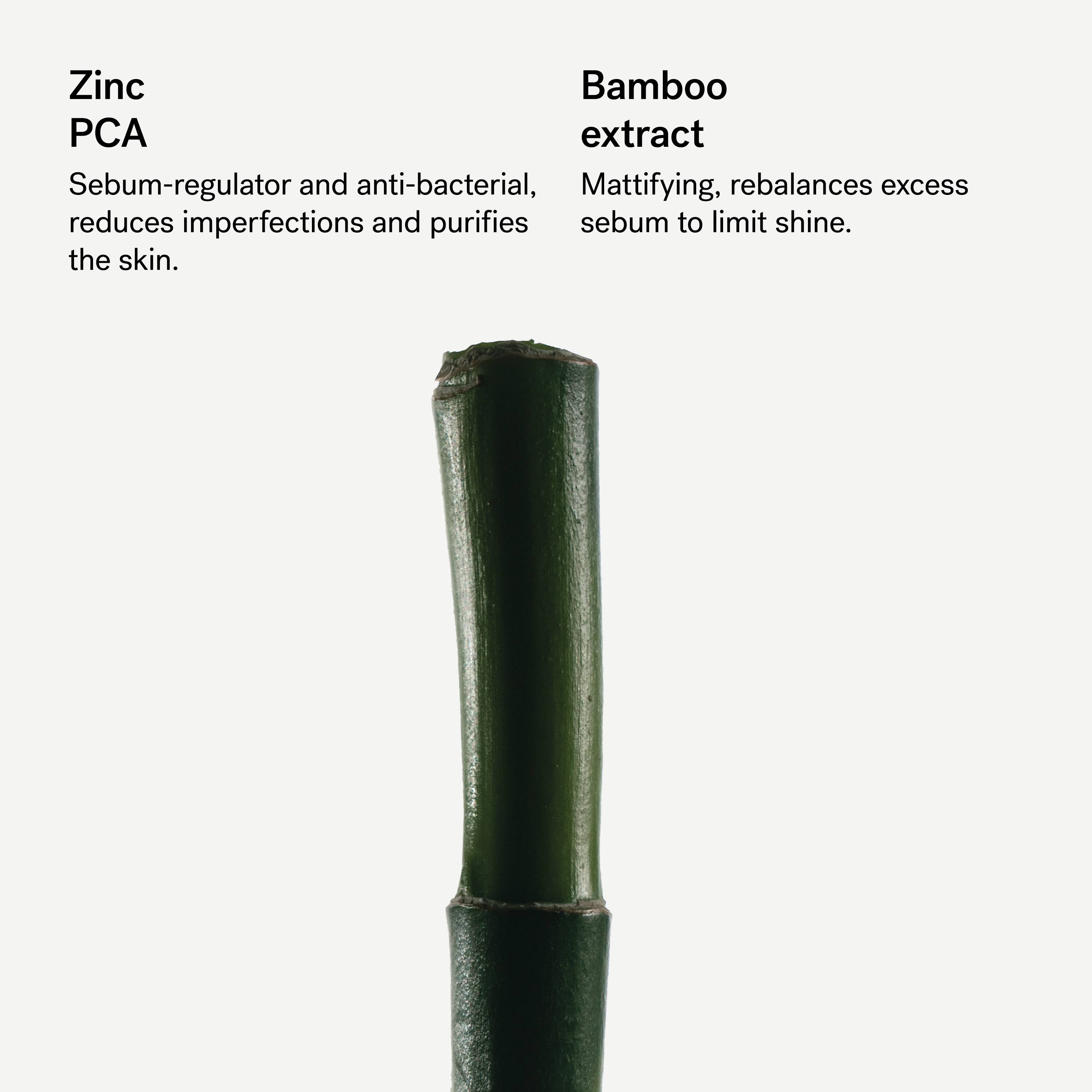 Purifying Moisturizer with 4% Zinc PCA & Bamboo — Typology