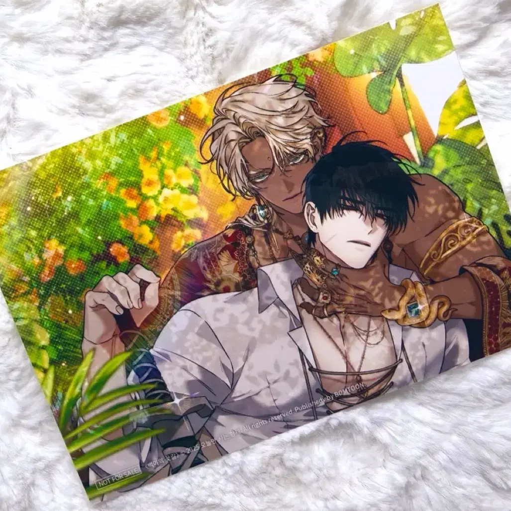 Bomtoon 10th Anniversary Home Party Pop-up Baekya's Flower Path