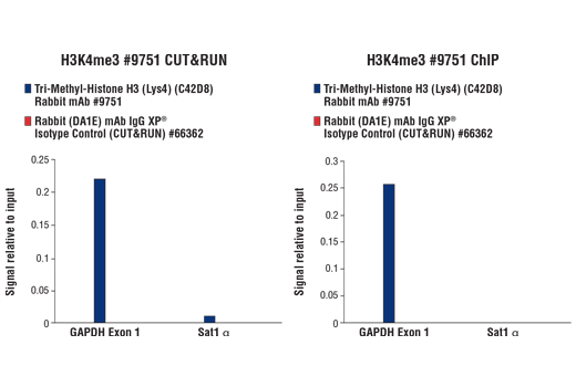 CUT&RUN Protein-DNA Interaction Assay Kit | Cell Signaling Technology