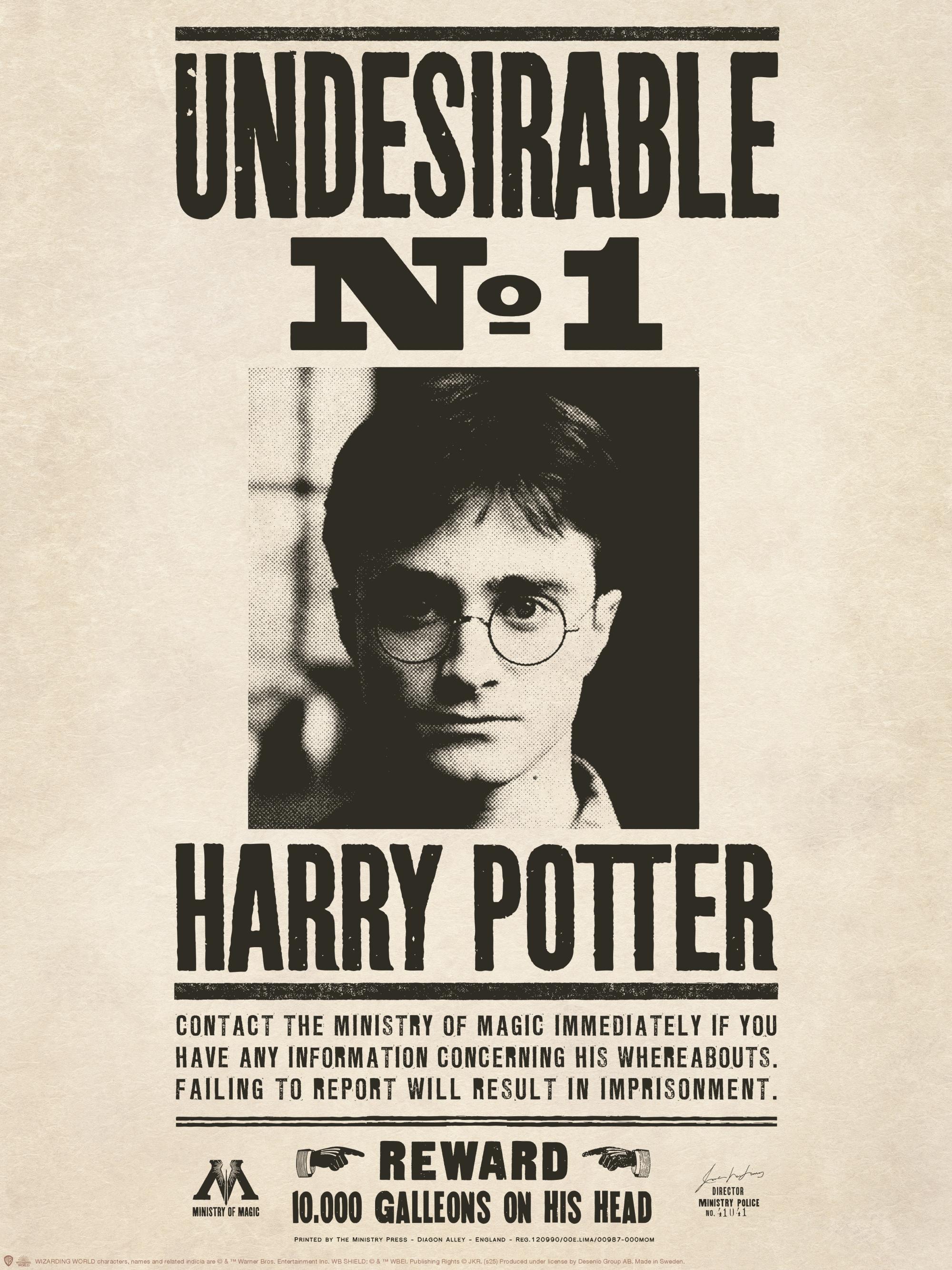 Harry Potter™ - Undesirable Print