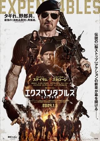 ロッキー3 : 作品情報・キャスト・あらすじ - 映画.com