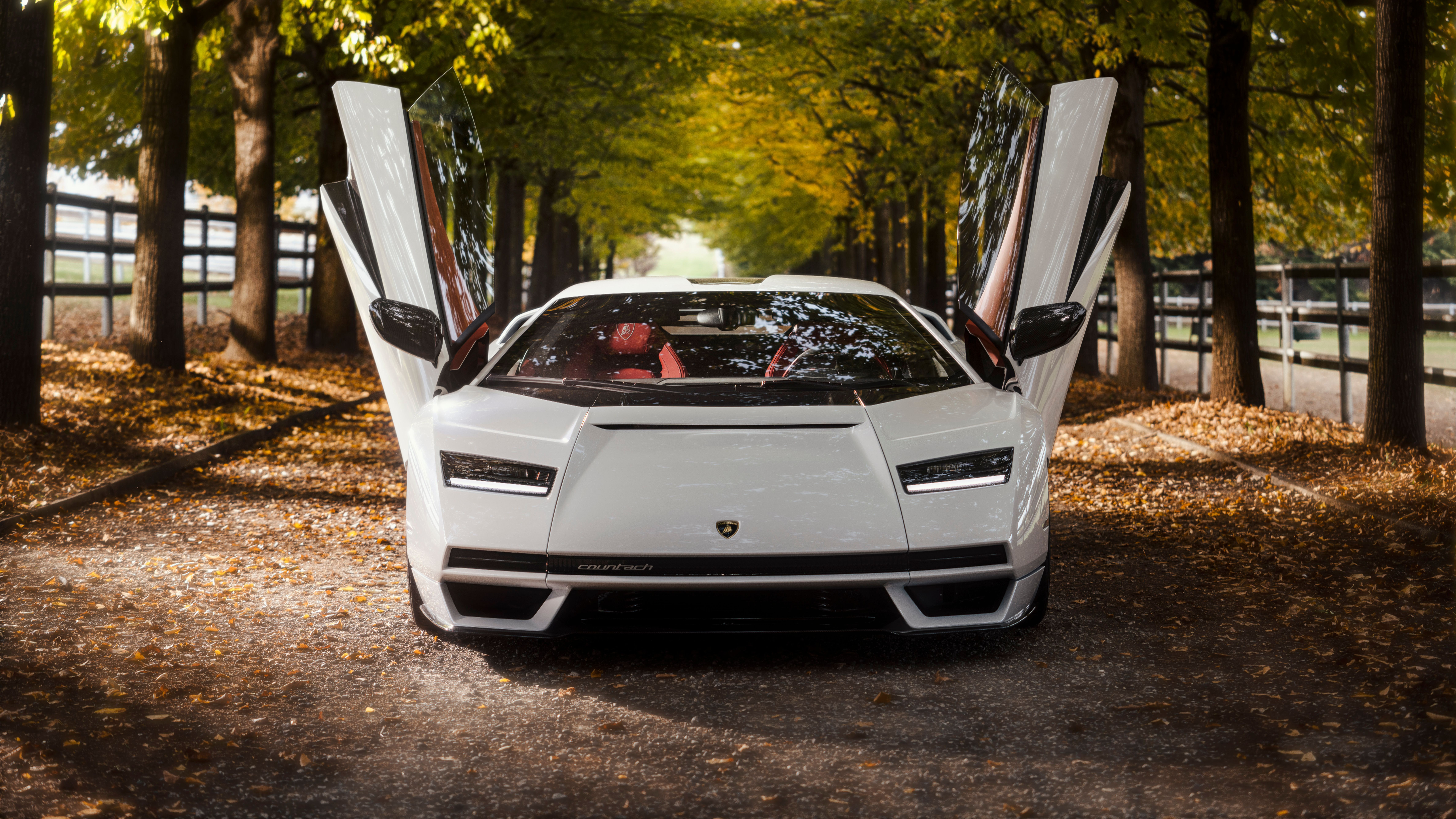 現代に蘇った“カウンタック”に乗った！ 新型ランボルギーニ