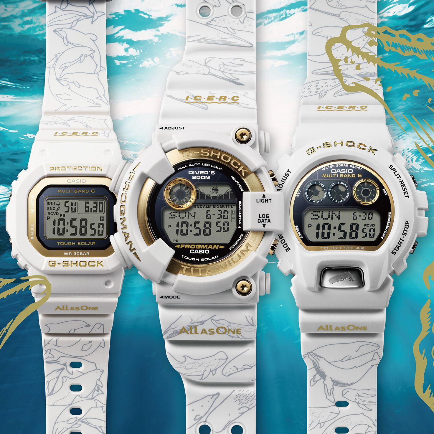 G-SHOCKの“イルクジ”が30周年！ 2024年モデルは、30頭のイルカとクジラ