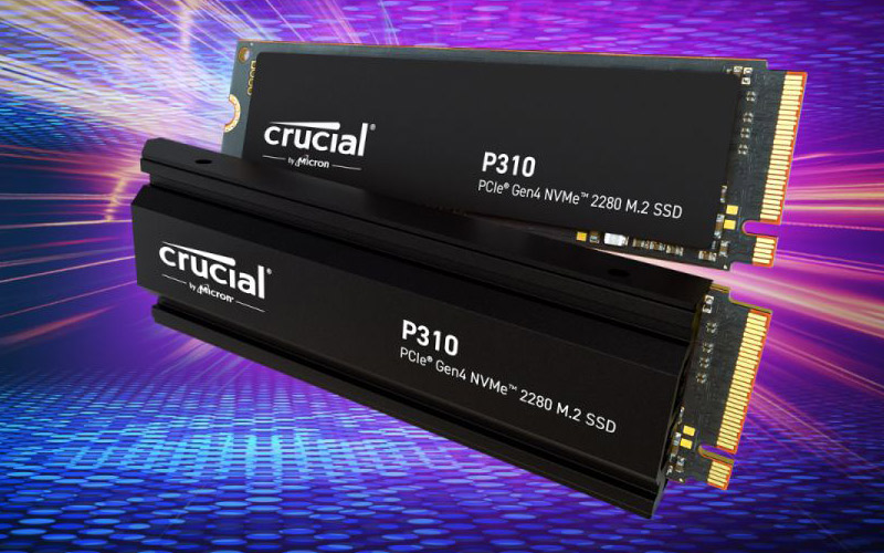 Crucial P310 1Tb 2280 - SSD - LDLC