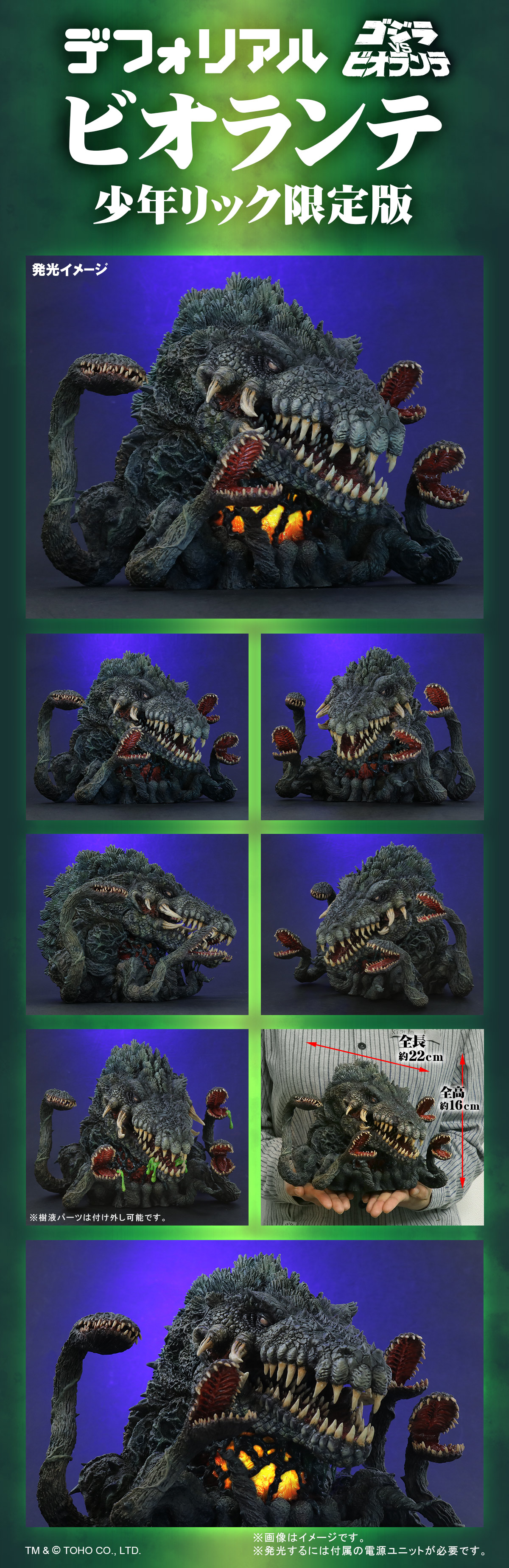 デフォリアル ビオランテ