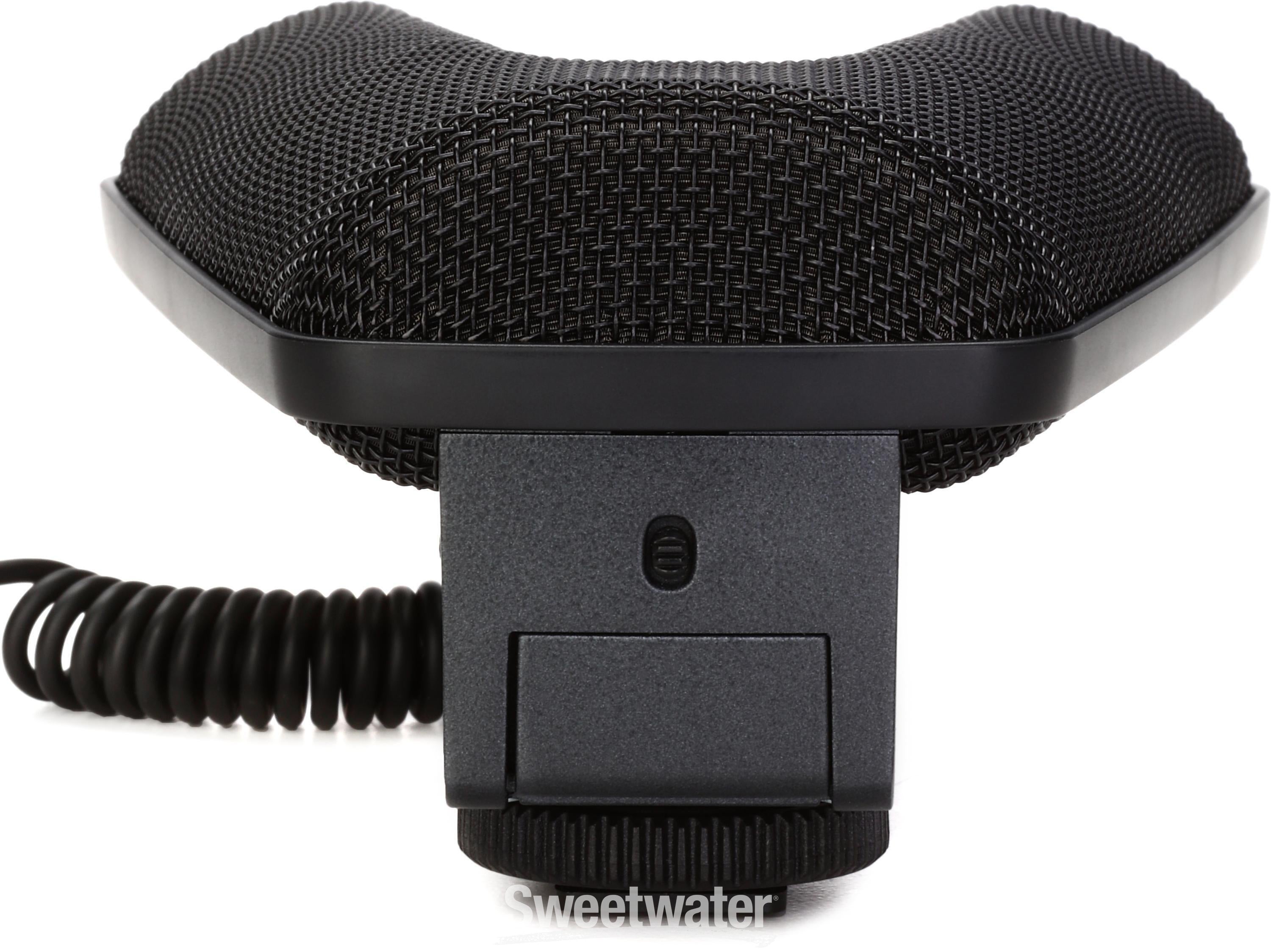 Sennheiser MKE 440 Camera-mount Stereo Shotgun Microphone | Sweetwater