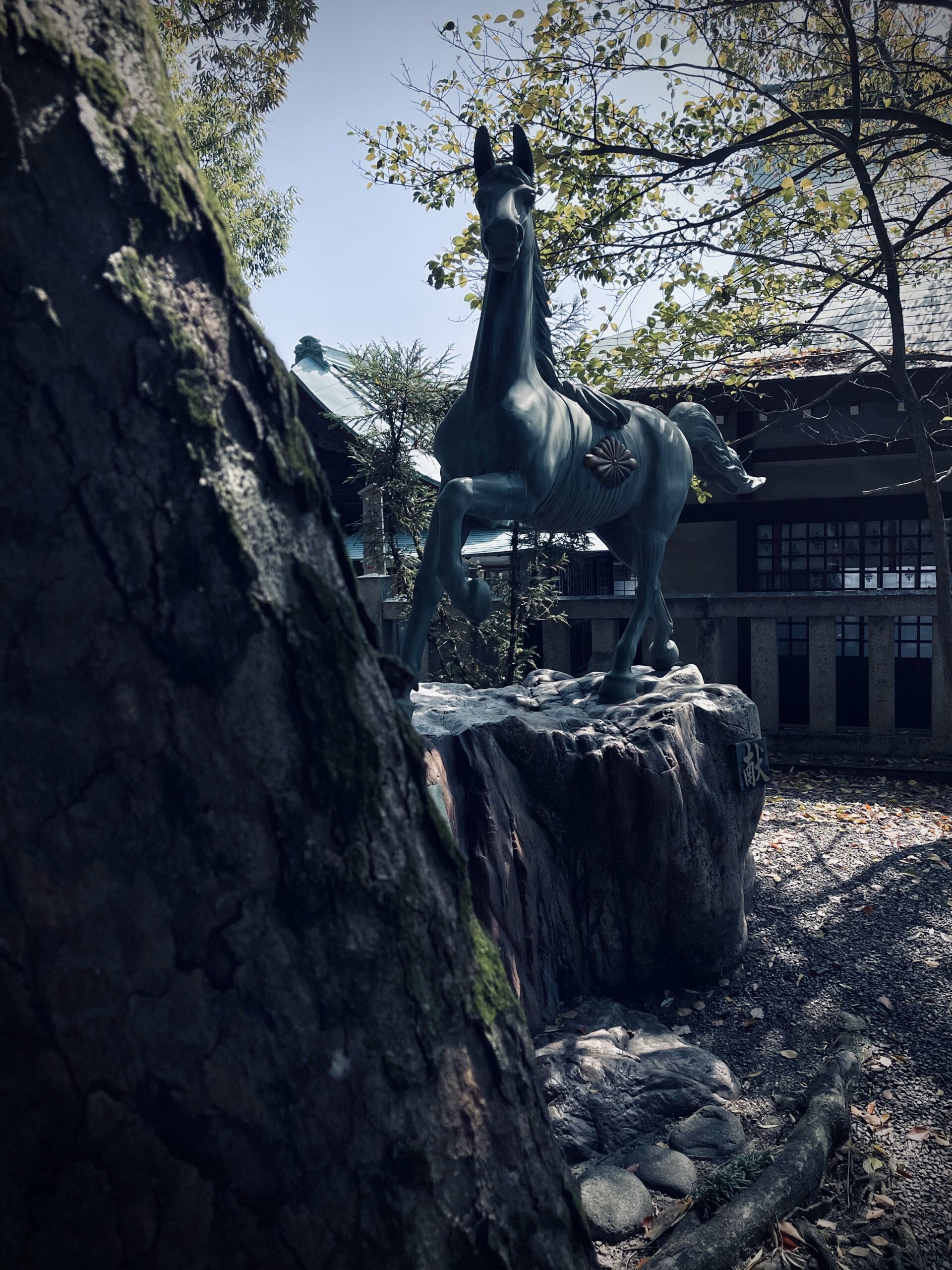 4月12日「さくやひめマルシェ」堤治神社 - メディアいちのみや