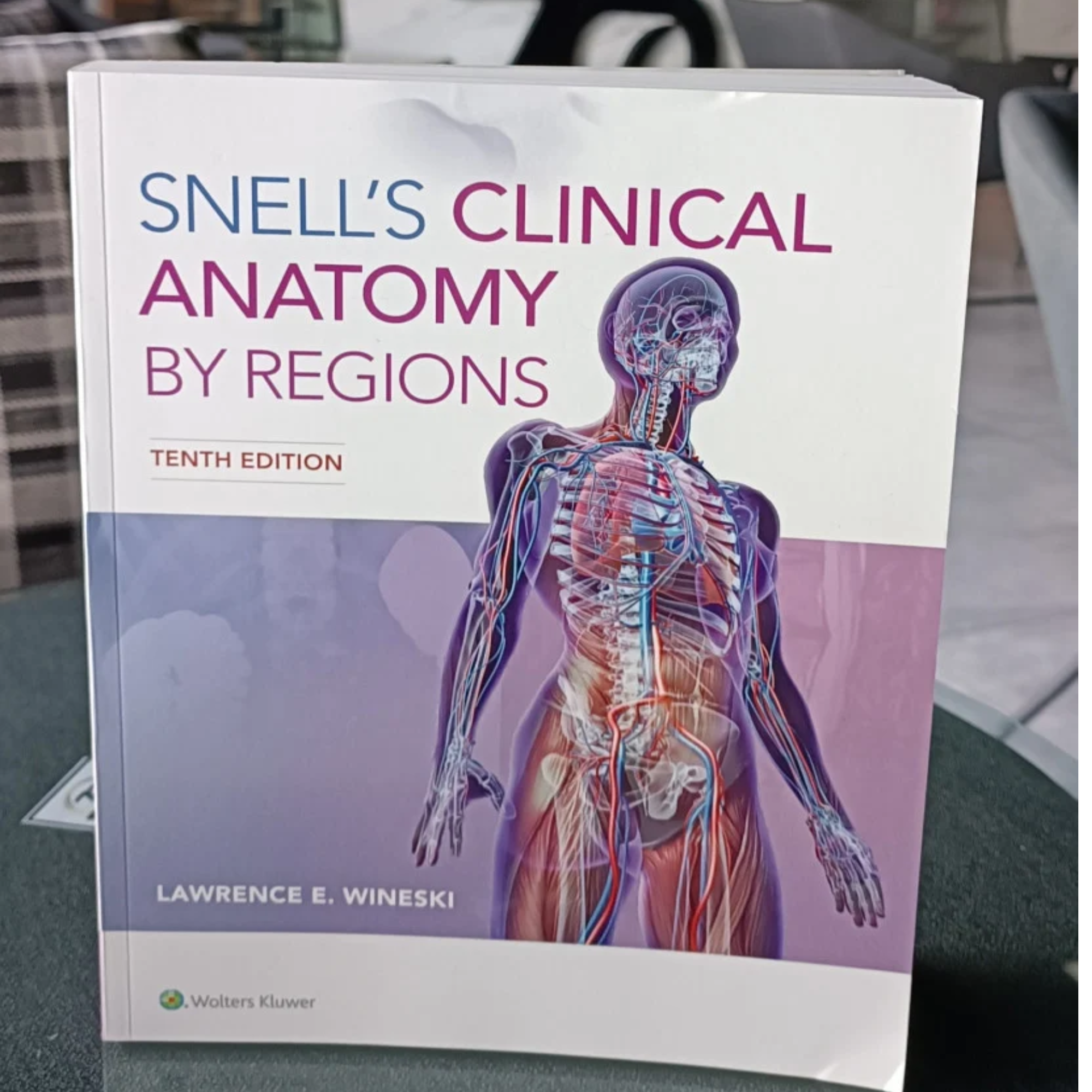 SNELL'S CLINICAL ANATOMY BY REGIONS – MEDKITZ
