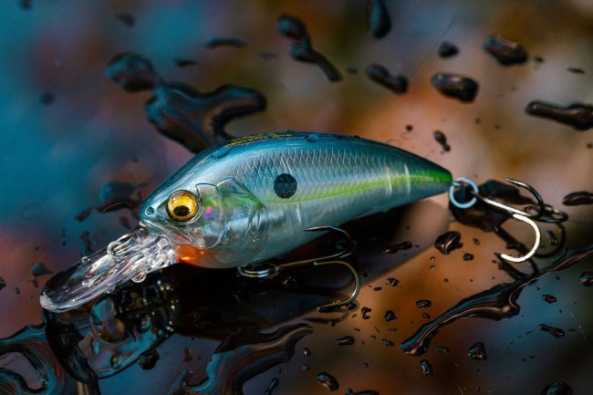 SUPER-Z Z2 & Z3: Precision Cranking for Fall, Now in New Colors