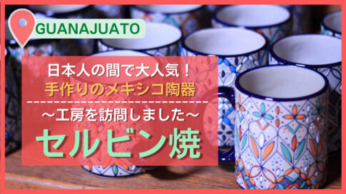 セルビン焼-1-485x272.jpg