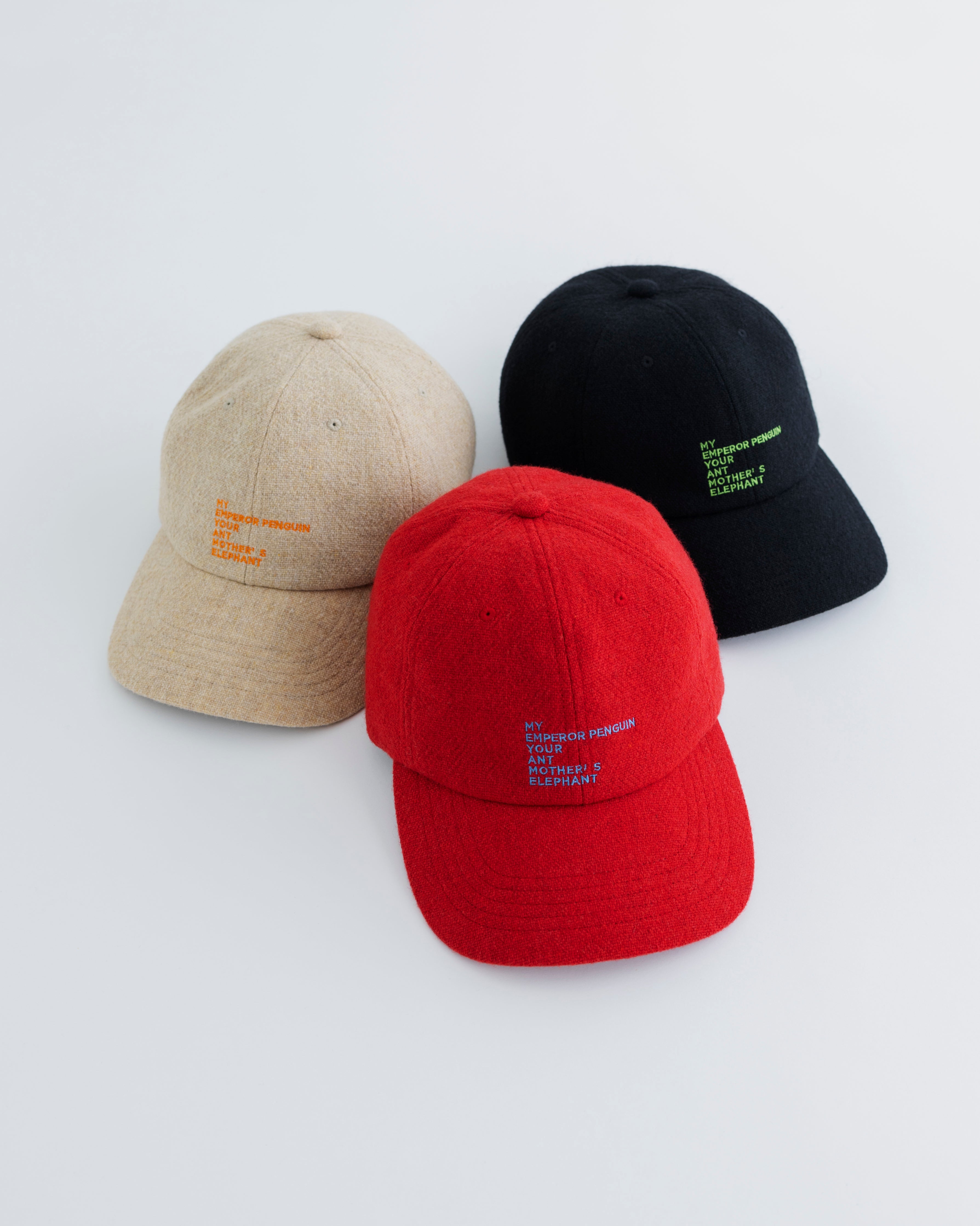 WOOL EMBROIDELY CAP (TATEYOMI) – MEYAME