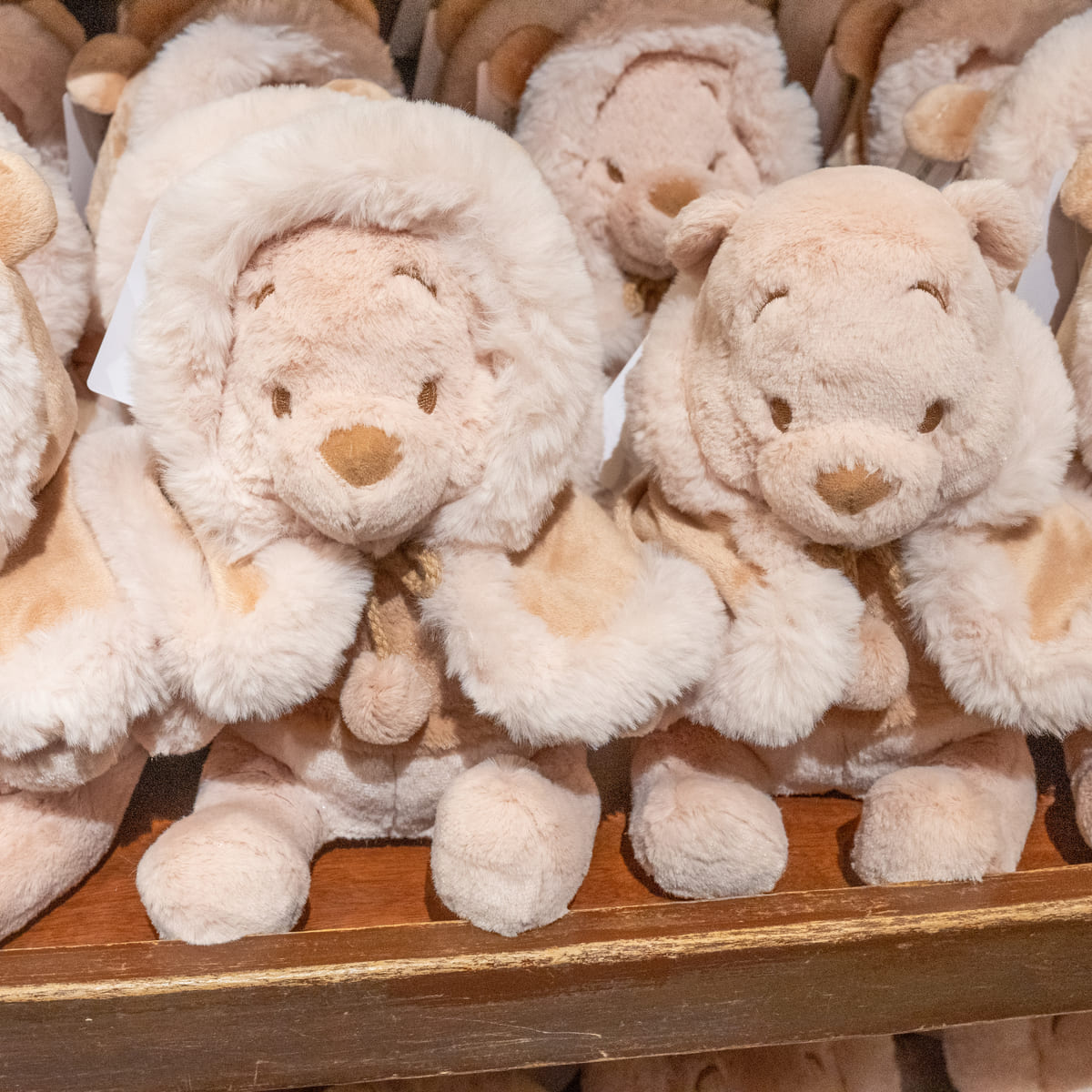 くすみカラーがかわいい！東京ディズニーランド『くまのプーさん