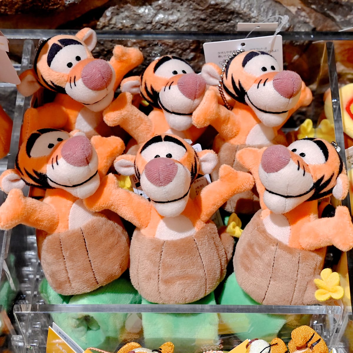 ティガーといつも一緒！東京ディズニーランド『くまのプーさん