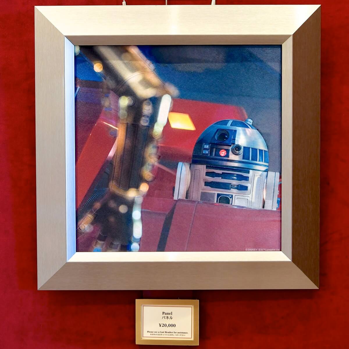 ダース・ベイダーのサイン&ドロイドたちに注目！東京ディズニーランド