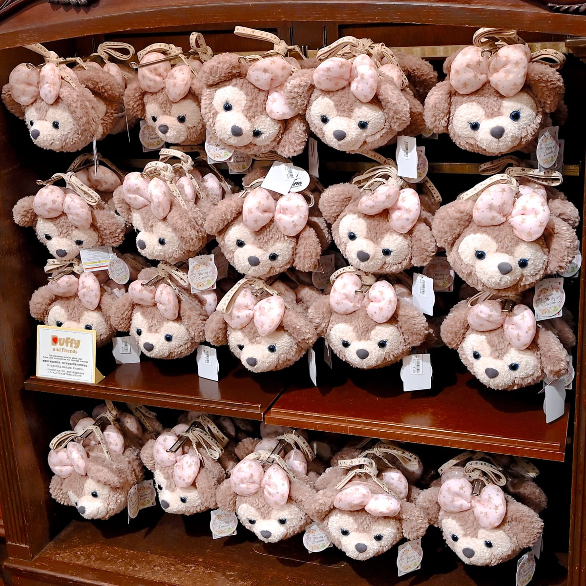 ダッフィー＆フレンズのスターリードリームス！東京ディズニーシー20