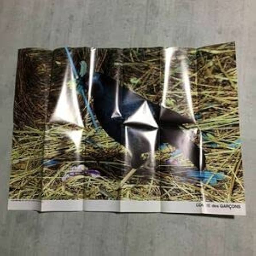 Amazon.co.jp: 90s comme des garons poster for client only, 90年代