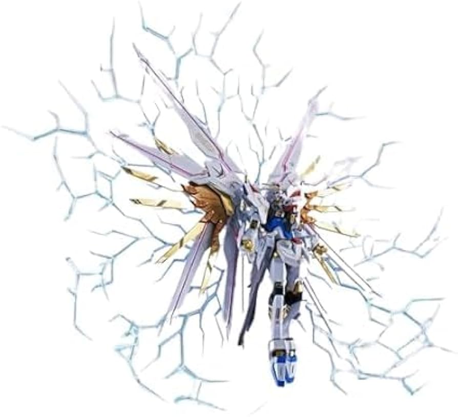 Amazon.co.jp: METAL ROBOT魂 ＜SIDE MS＞ストライクフリーダム ガ ン