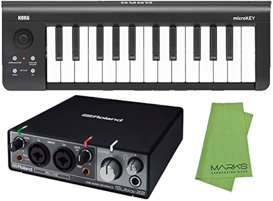Amazon.co.jp: Roland オーディオインターフェース Rubix22 + KORG USB