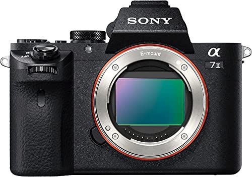 最高の出会い。カメラ初心者がミラーレス一眼SONY α7II（ILCE-7M2）を