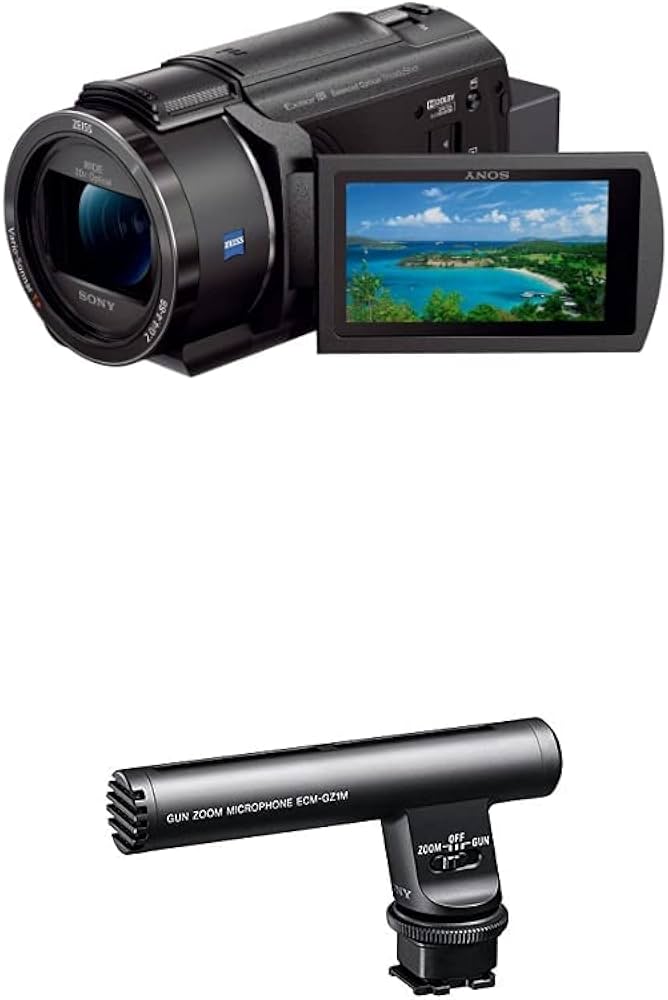 Amazon | SONY(ソニー) 【AX45A と マイク セット】 狙った音を