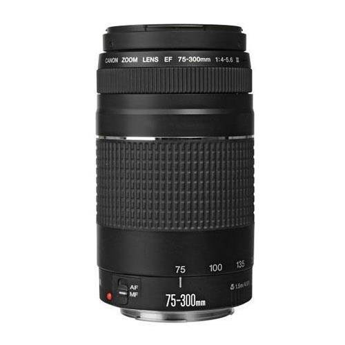 ef75-300mm f4-5.6」の人気商品一覧 | 安い商品を通販サイトから探す