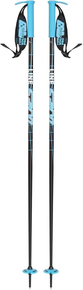 Amazon | LINE(ライン) スキーポール 2023 WALLISCHTICK Blue-Black
