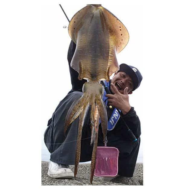 Amazon.co.jp: CRONO, Kanji EXR-88 TideOver Tie Over, Matte Black