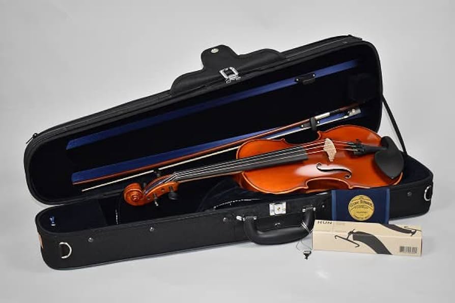 Amazon | EASTMAN SVL80ｾｯﾄ 4/4 バイオリンセット (イーストマン