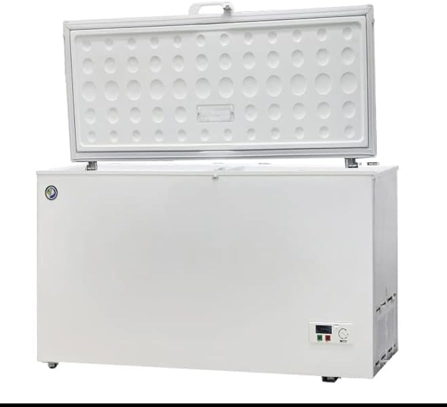 Amazon.co.jp: GINGAWA 冷凍庫 業務用 上開き 大容量 冷凍ストッカー