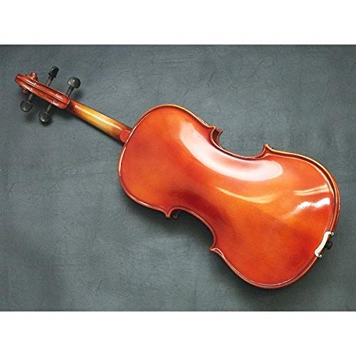 Amazon.co.jp: Carlo Giordano Viola Outfit VL-1 15.5