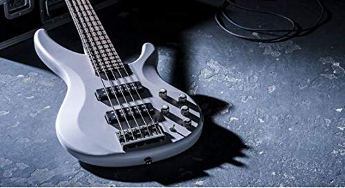 Amazon.com: Yamaha TRBX505 5-String Electric Bass Guitar