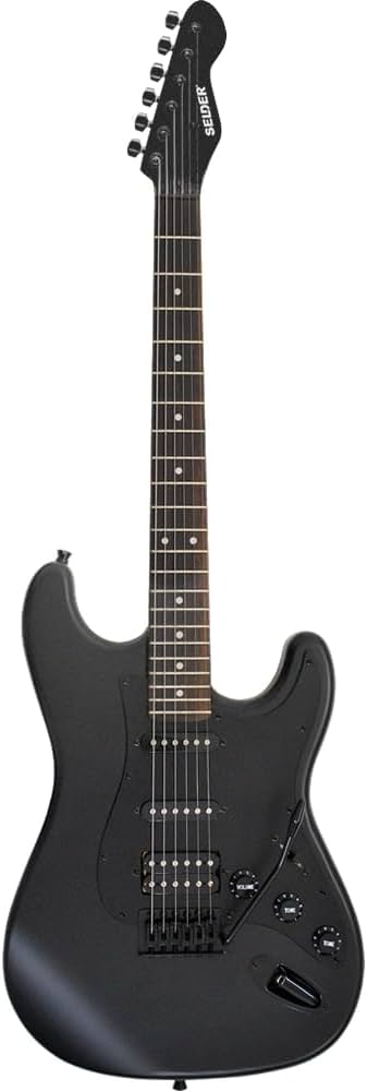 Amazon | SELDER セルダー エレキギター ストラトキャスタータイプ