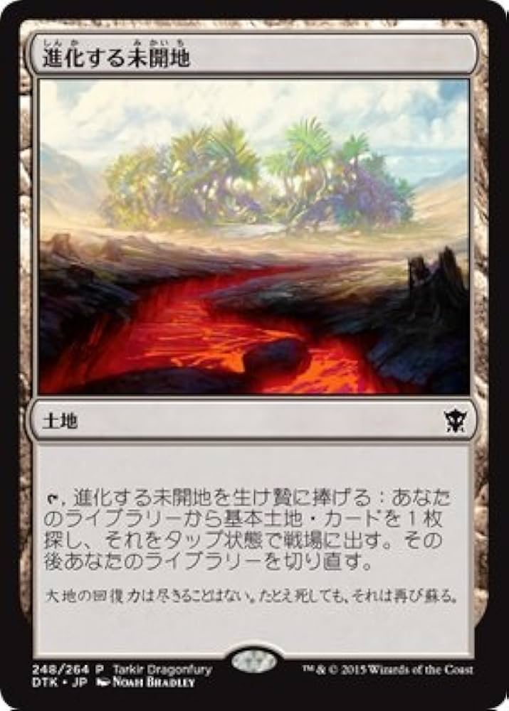 Amazon.co.jp: マジックザギャザリング MTG 土地 日本語版 進化する