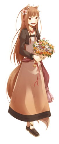 Amazon | 狼と香辛料 ボクとホロの一年(通常版) 特典 文倉十氏描き