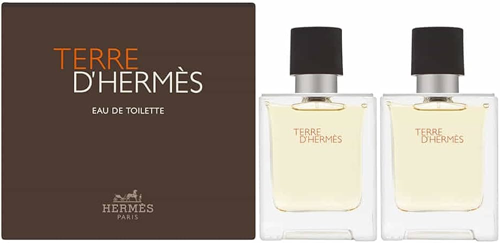Amazon.com : Hermes Terre D' 2 Piece Gift Set for Men, Citrus, 1.6