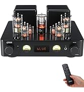 Amazon.co.jp: Juson Audio JTA 50エントリーレベルHiFiチューブアンプ