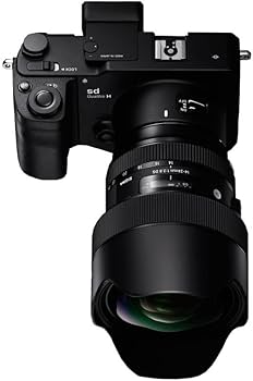 Amazon.co.jp: シグマ(Sigma) レンズ 14-24mm F2.8 DG HSM Nikon