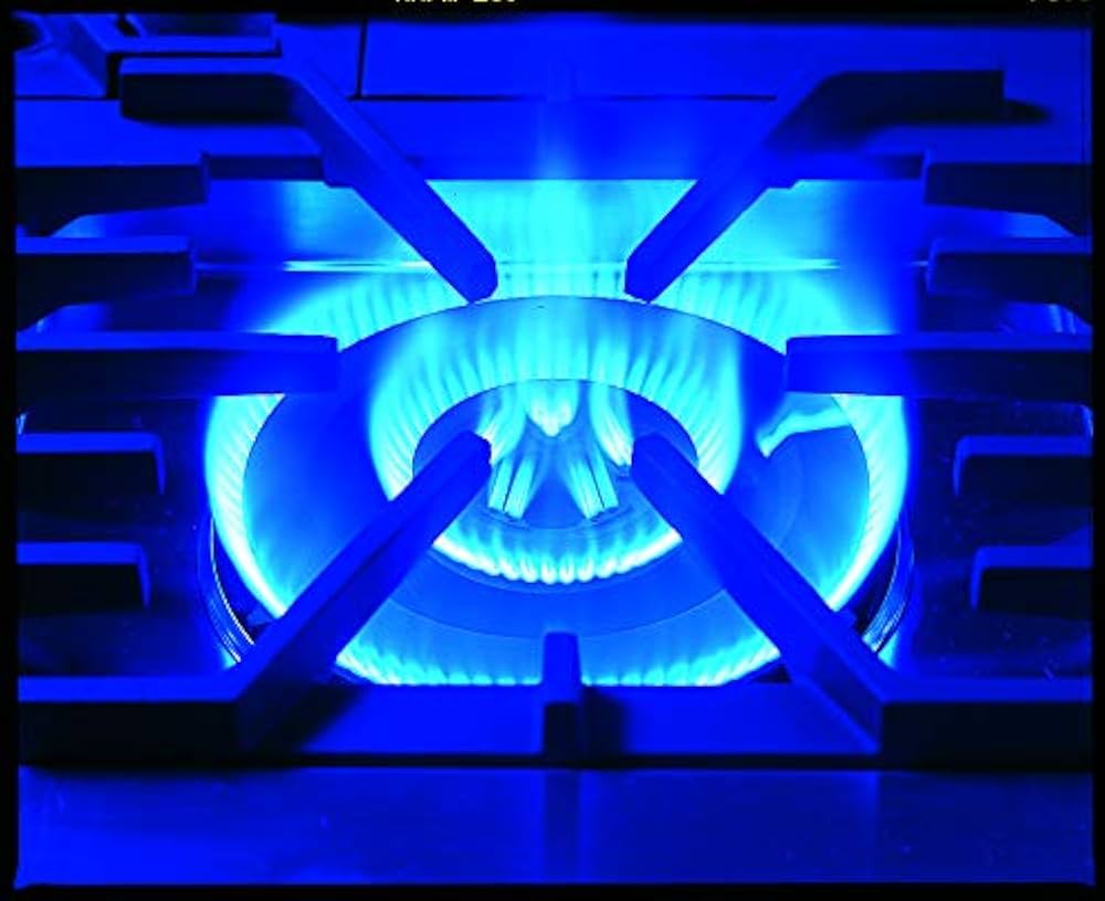 Amazon.co.jp: マルゼン ガステーブルコンロ RGC-044C NEWパワークック