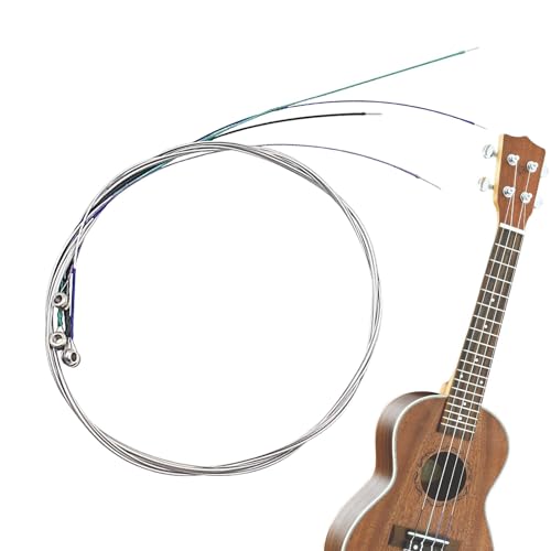 ヴィオラ 弦」の人気商品一覧 | 安い商品を通販サイトから探す - 価格.com