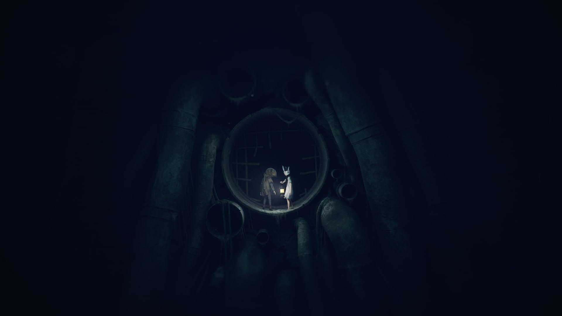 Amazon.co.jp: REANIMAL COLLECTOR'S BOX(リアニマル コレクターズ