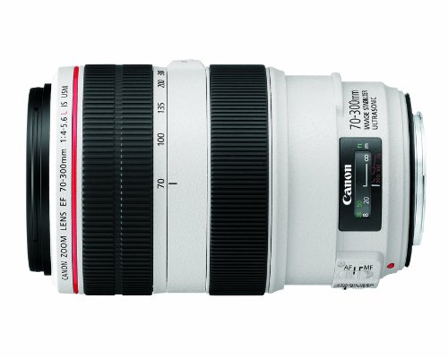 canon ef70-300mm」の人気商品一覧 | 安い商品を通販サイトから探す
