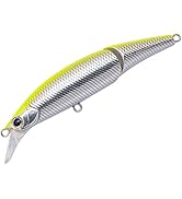 Amazon | パームス モーラ MGGS-67L2F | パームス(Palms) | バスロッド