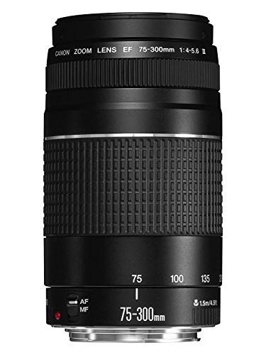 Amazon.co.jp: キャノンEF 75-300mm f/4-5.6 III 望遠ズームレンズ