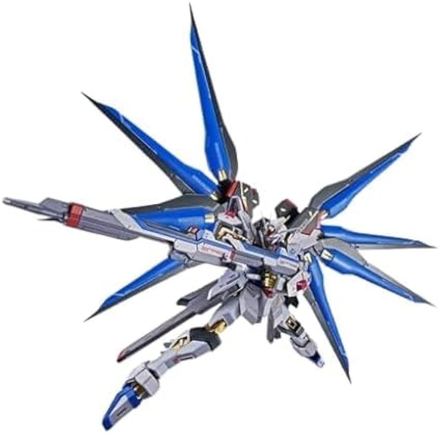 Amazon.co.jp: METAL ROBOT魂 ＜SIDE MS＞ストライクフリーダム ガ ン