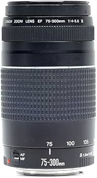 Amazon | Canon EF 75-300mm f/4-5.6 III 望遠ズームレンズ キャノン