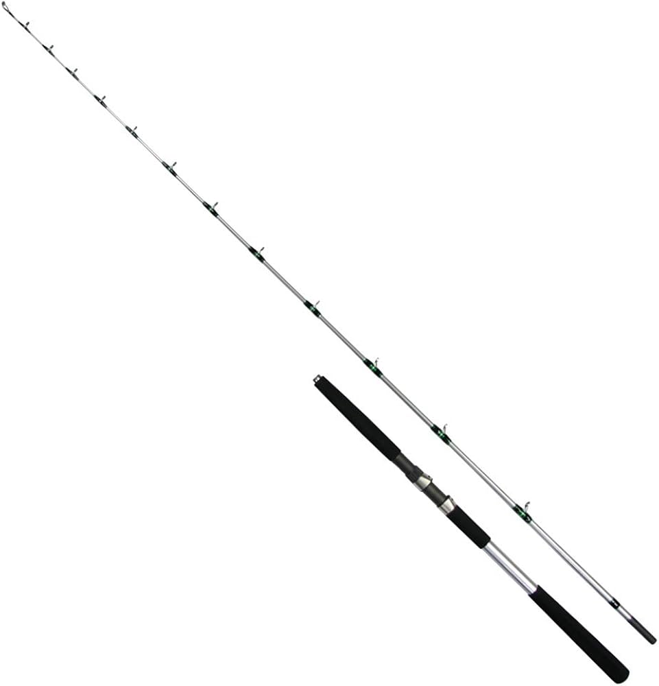 Amazon | TAKAMIYA(タカミヤ) ロッド H.B CONCEPT 沖伝説 JO-256 220V